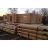High quality structural hardwood pinewood logs for sale