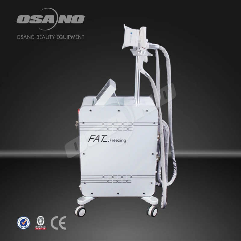 Professional Latest Technology Fat Freezing Reducing