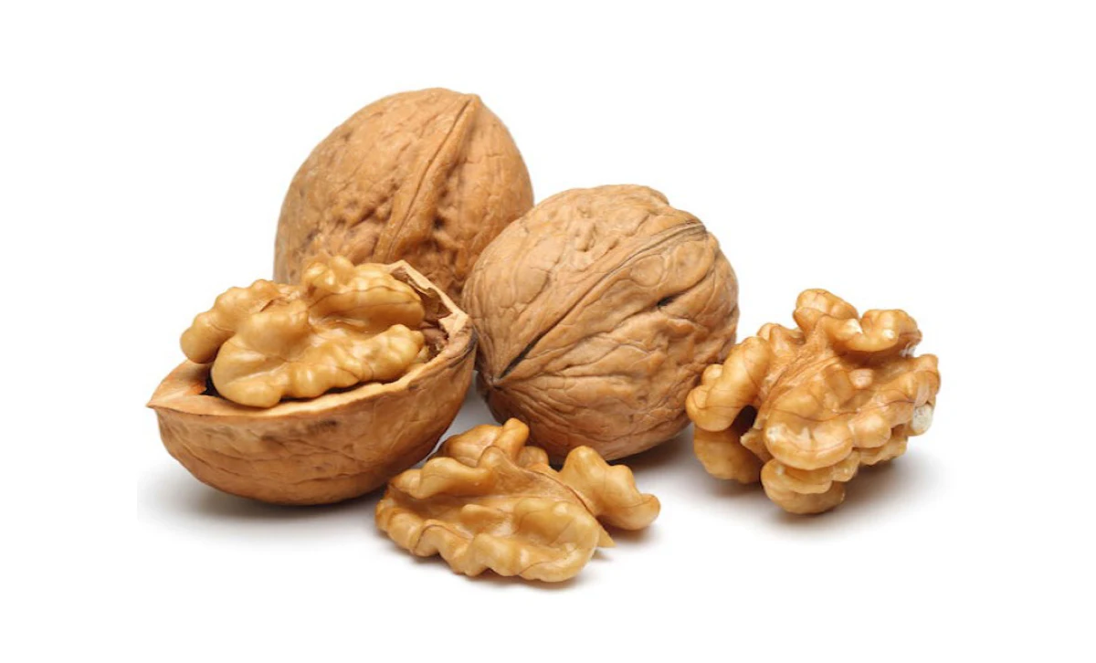 nets walnut kernel