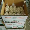 /product-detail/2017-fresh-chinese-normal-white-garlic-595388426.html