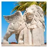 Garden decor smiling life size lion marble statue with wings