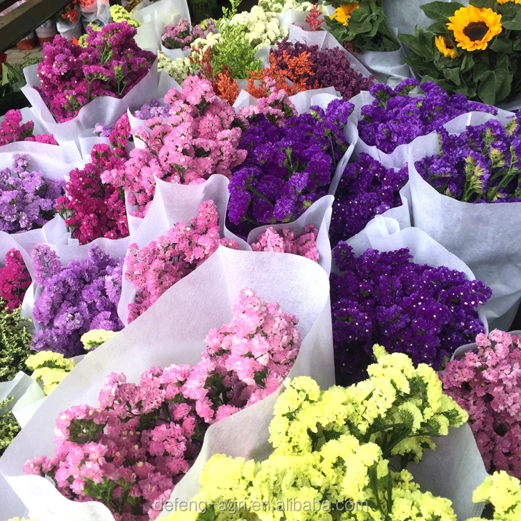 Dried Flower Petals Limonium Sinense Flower For Decoration Me Not Buy Dried Flower