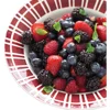 IQF Frozen Berries Blend (Strawberry/Blackberry) and iqf berries