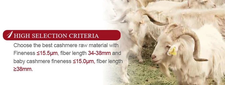 Italian quality China factory produce 100% cashmere yarn Consinee