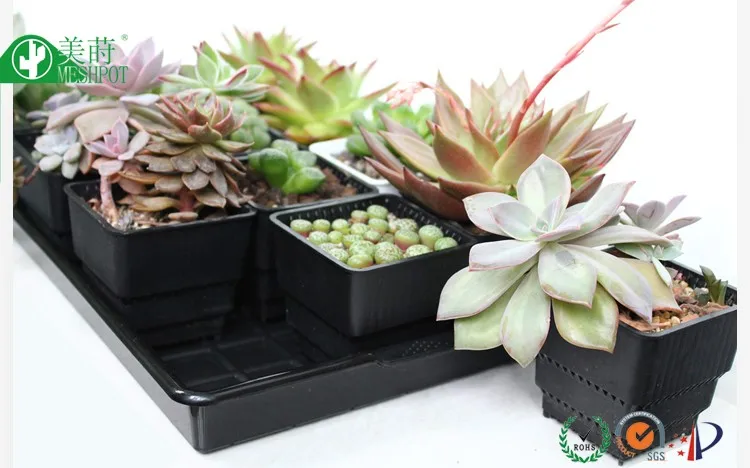 Square root control plastic air pot with tray nursery pot succulent pots