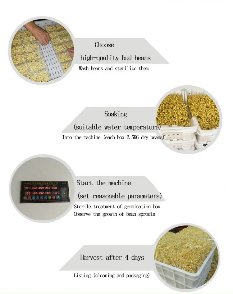 Sprout seedling machine-5.jpg