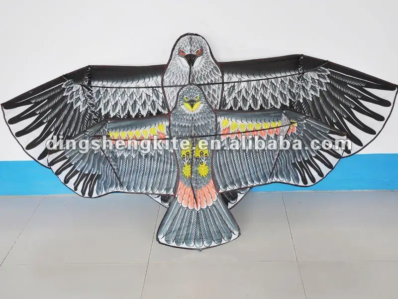 black hawk kite