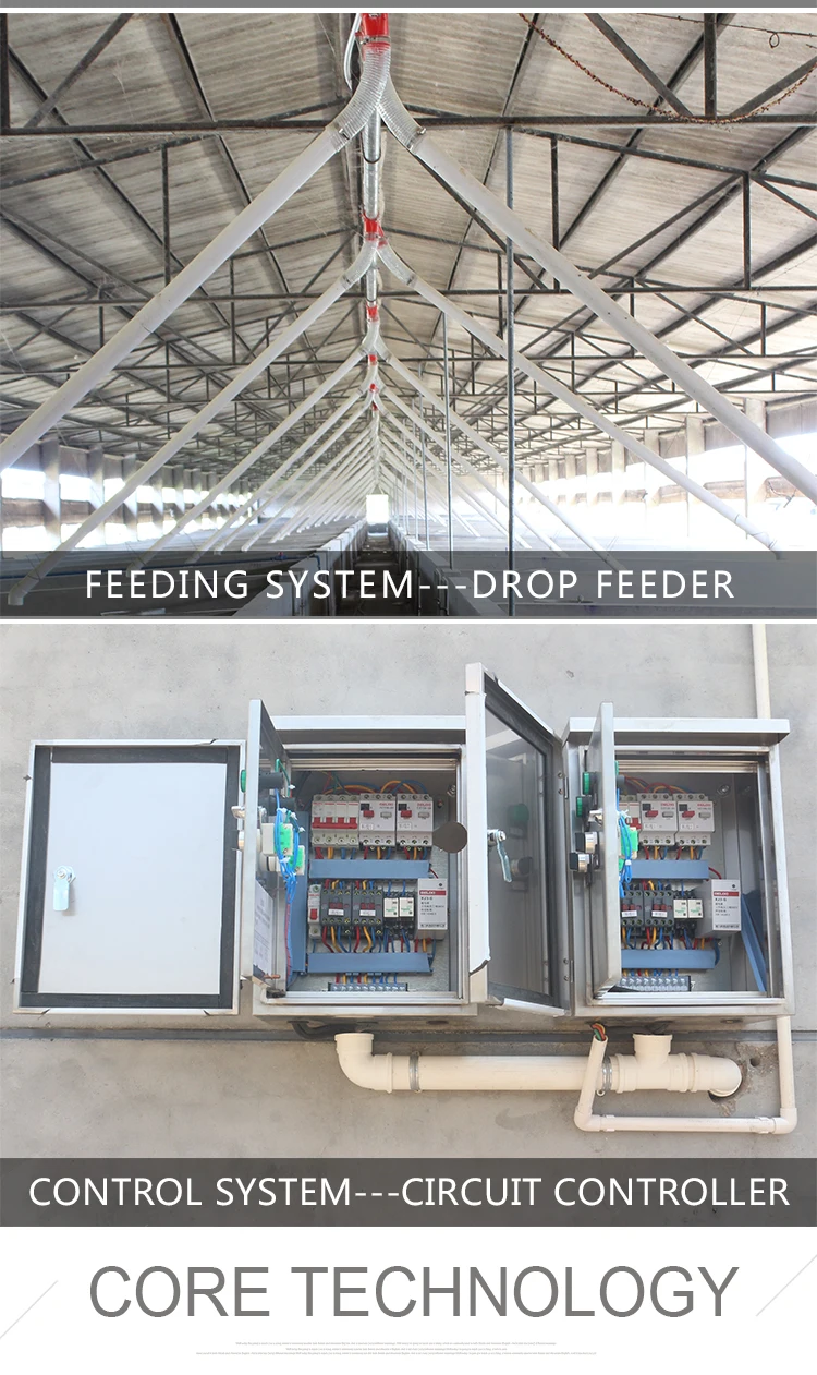 Full Pig Automatic Feeder For Animal Buy Full Pig Automatic