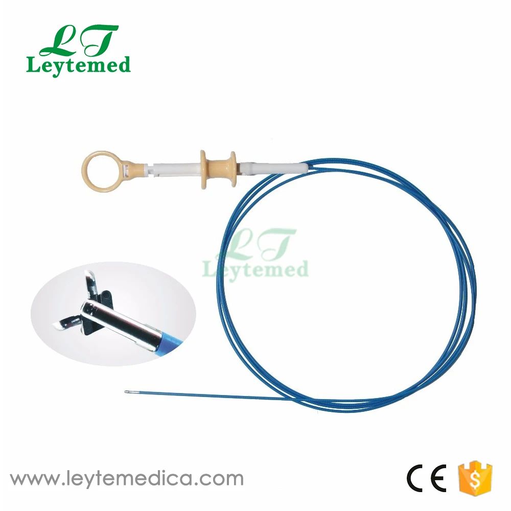 LTCF01 01-1.jpg