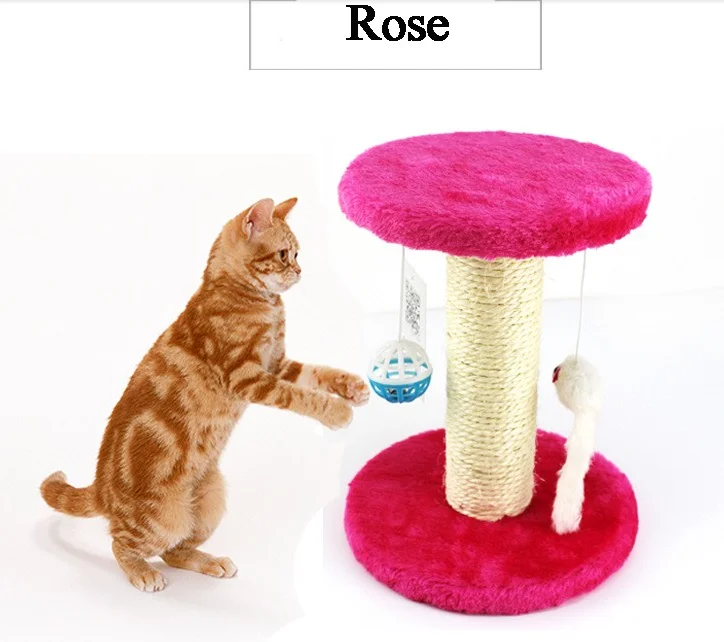 kitten climbing frame