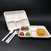 /product-detail/new-trend-product-compostable-sugarcane-bagasse-tableware-5-compartment-biodegradable-lunch-tray-62134935196.html