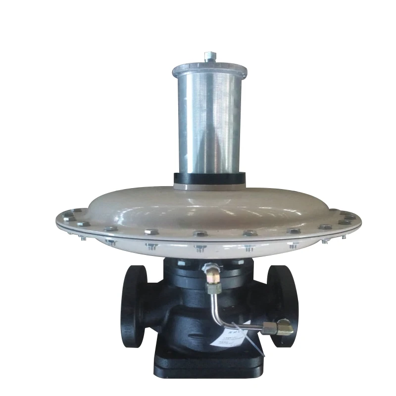 Spring Loaded High Accuracy Gas Pressure Regulators Middle And Low