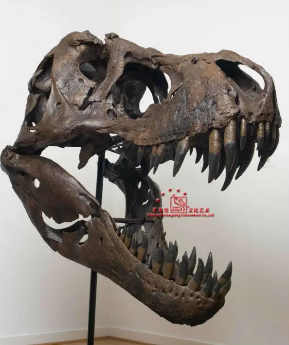 life size dinosaur skull replicas for sale