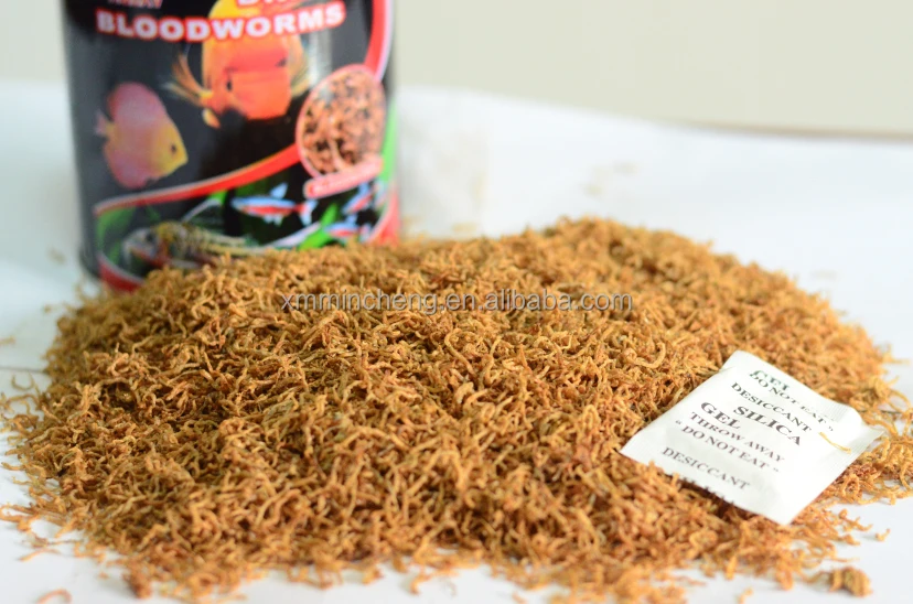 download freeze dried bloodworms