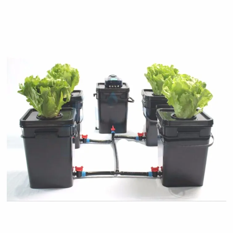 Square Bucket Automatic Hydroponic System Amazon Supplier Complete