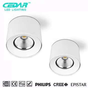 Ceiling Install 15w 20w 25w 30w Surface Mounted Led Downlight Led
