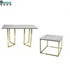customized size modern designer stainless steel gold plated coffee table