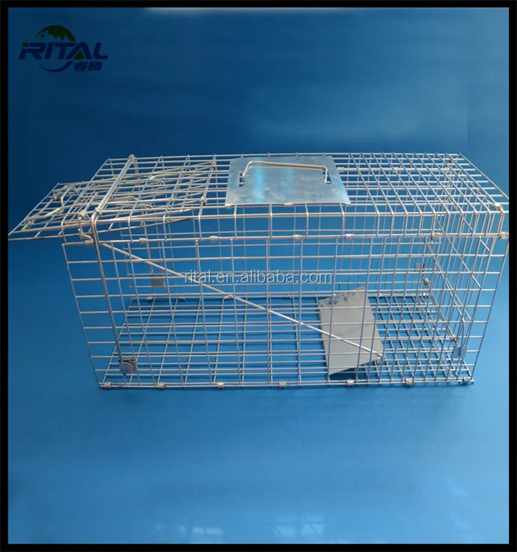 Live Trap Cage Bird Trap Cages For Bird Sale Buy Bird Trap Cage,Bird Cage Trap,Live Bird Trap