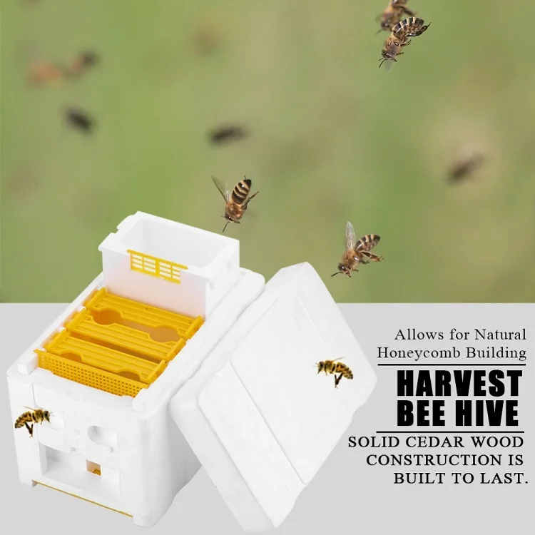 Caja De Polinización De Abeja De Plástico Herramientas De Caja De Polinización De Abeja De Plástico Herramientas De