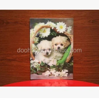 Cina Decorazione Camere Bimbi Foto Pet 3d Immagine Cane Buy Immagini 3d Amorefacile Le Immagini Da Disegnare Per I Bambini3d Immagini Naturali