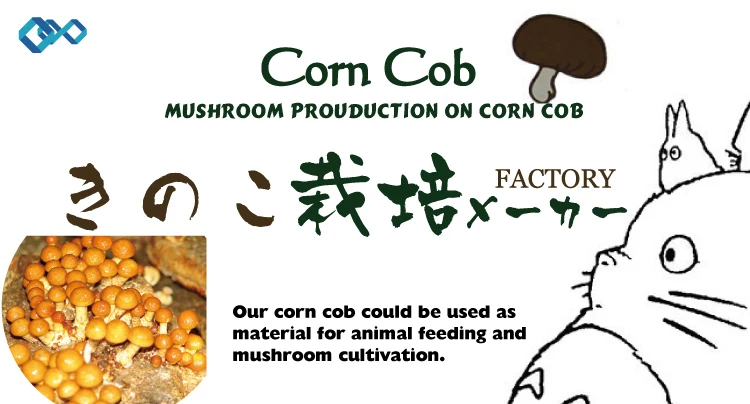 01CORN COB -01.jpg