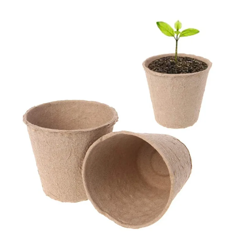 morez eco-friendly biodegradable paper pulp tray paper flower