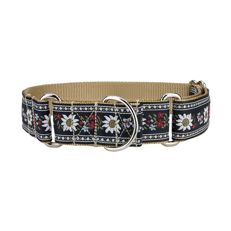 hunting dog collar