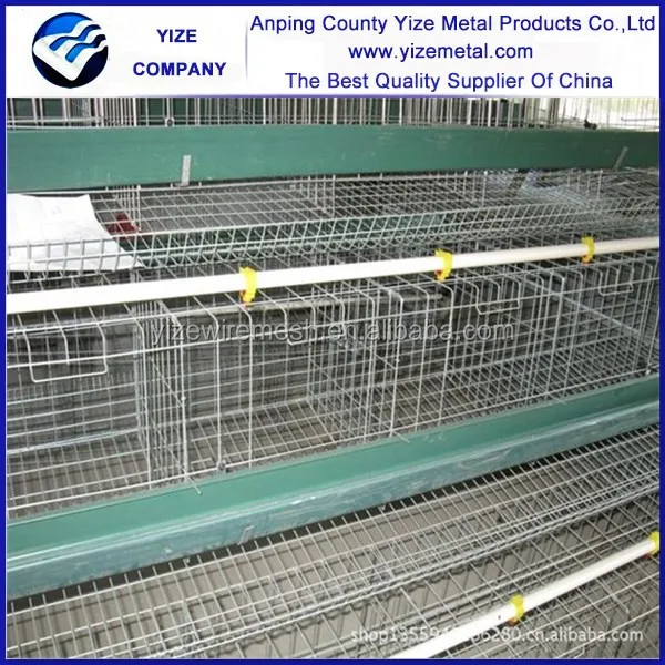 Pvc Plastic Design Broiler Chicken Cages Popular In Kenya,Uganda