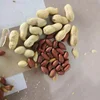 Roasted Peanut In Shell 9/11 11/13