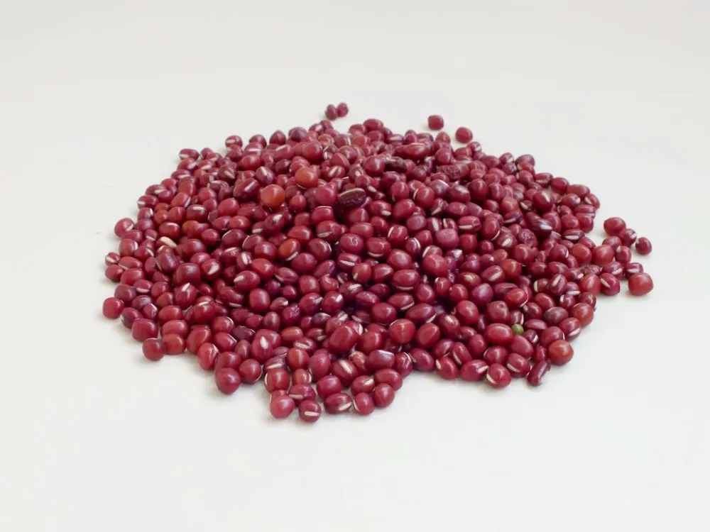 high quality free sample red bean extract / adsuki bean extract/
