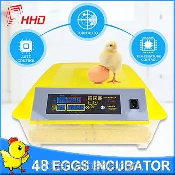 egg incubator