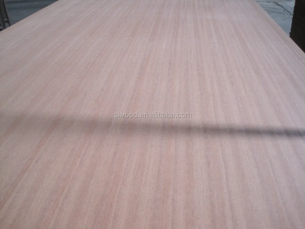 China Plywood Factory Birch Plywood 18mm Russian Birch Plywood Price