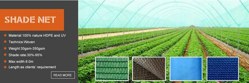 shade net.jpg