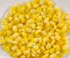 /product-detail/canned-corn-ingredients-sweet-corn-kernel-whole-kernel-sweet-corn-60283085338.html