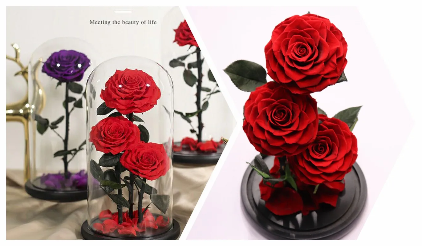 Luxury Glass Dome Natural Eternal Rose Preserved Flower Wholesale