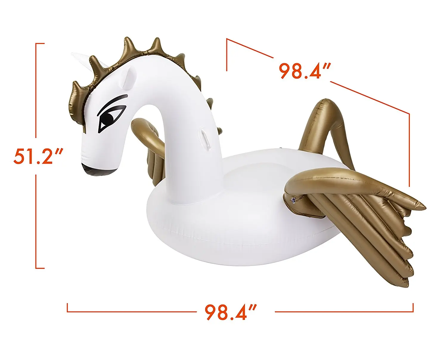 pegasus floatie