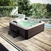 Europe best seller Strong hydro outdoor swim spa pool with balboa system