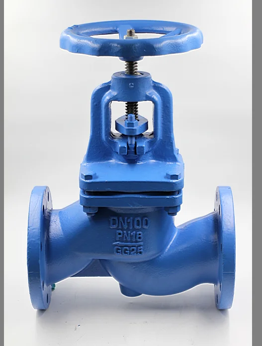 Gg25 Gear Operated Flange Globe Valve Pn16 - Buy Globe Valve,Gear