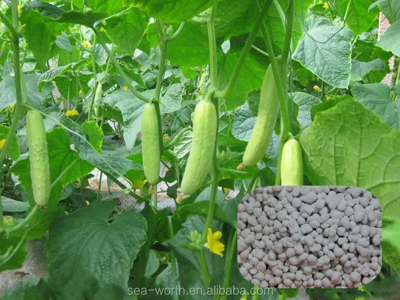 dryer granulator drum