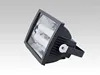 induction down light Low Frequency IP65 2700-6500k 100W Waterproof Outdoor Induction Flood Lighting Induction Lamps