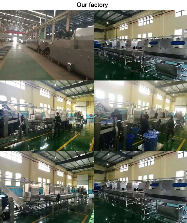 Small Scale Plantain Coconut Chips Making Production Machine Banana Chips Frying Machine Automatic details
