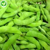 Long-term typical taste hot sale iqf frozen soybeans edamame bean in pod