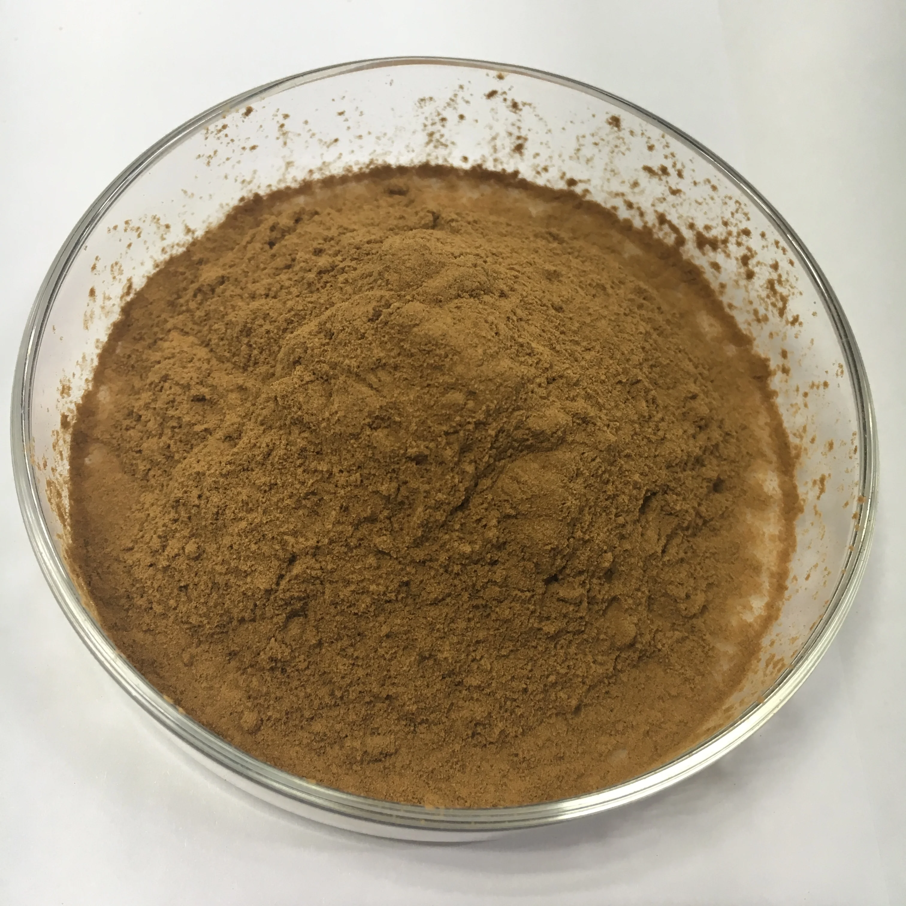 高品质的天然冬虫夏草虫草酸精华