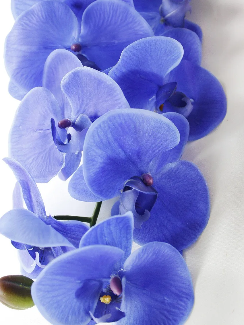 家居装饰真正的触摸硅胶批发人造兰花花待售