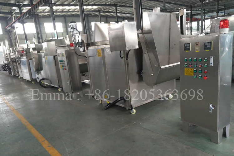 batch frying machine.jpg