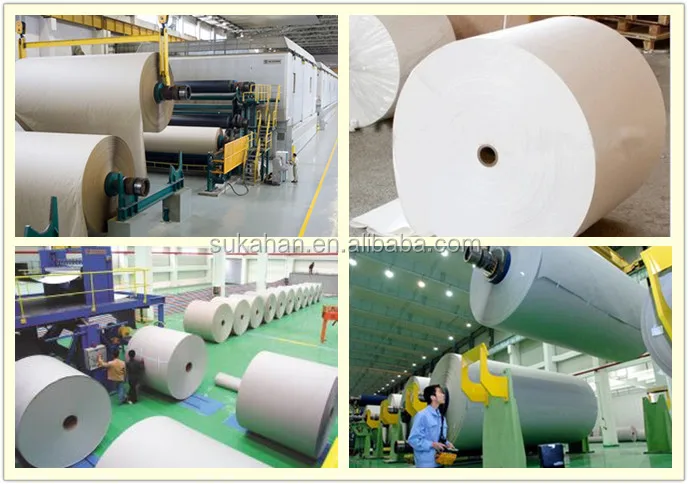 Professional supply paper pulp bleaching enzyme /bleaching chemical reduction in pulp bleaching applications/ starch conversion.jpg