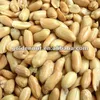 XiangNong Salted Peanuts