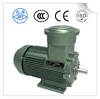 Mass Production High Quality 15KW Explosion proof Electric motor 20hp