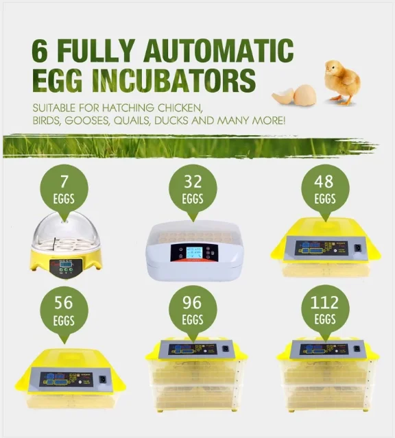brinsea products fully automatic egg incubator for hatching brinsea products fully automatic egg incubator for hatching