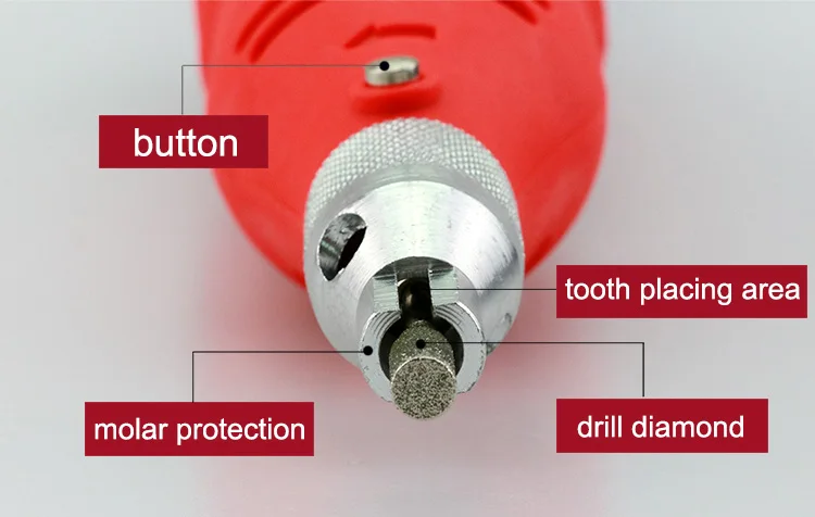 歯科バーニッシャー獣医電気豚歯 Buy Pig Teeth Dental Burnisher Electrical Pig Teeth Dental Burnisher Teeth Dental Burnisher Product On Alibaba Com